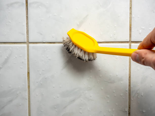 Office Mold Removal Services in Plano, IL