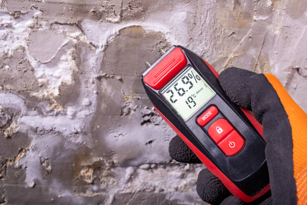 Best Residential Mold Removal  in Plano, IL