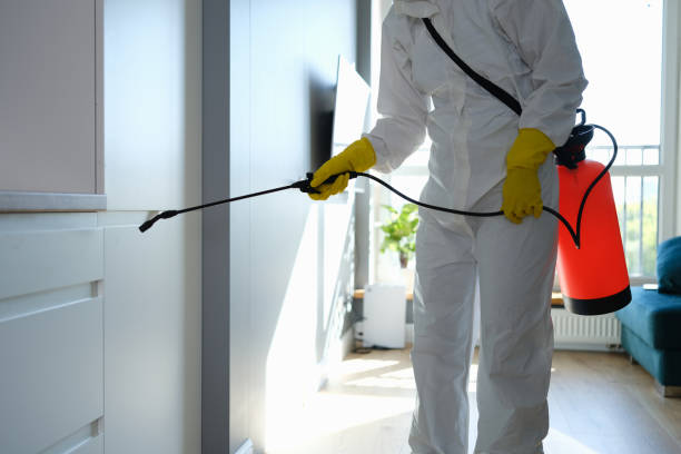 Best Mold Testing  in Plano, IL